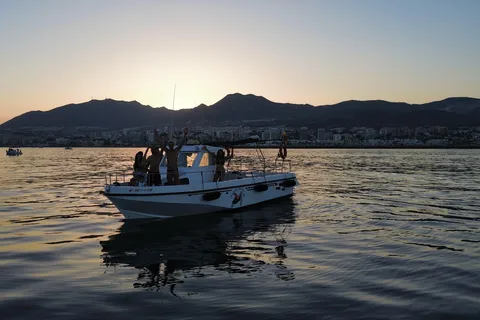 Dolphin Tour Benalmadena Boat Trip with Open Bar