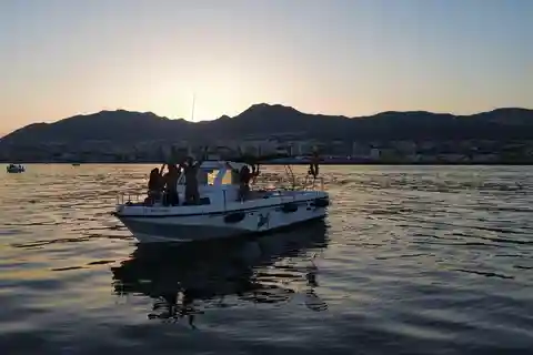 Dolphin Tour Benalmadena Boat Trip with Open Bar