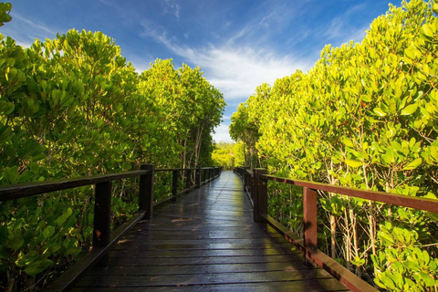 Private Transfer from Bangkok and Hua-Hin | Thailand Van/ Hua Hin to Bangkok