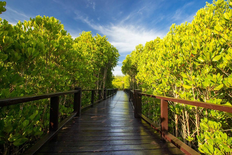 Private Transfer from Bangkok and Hua-Hin | Thailand Van/ Hua Hin to Bangkok