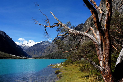 Huaraz: Exciting trip to the Chinancocha Lagoon