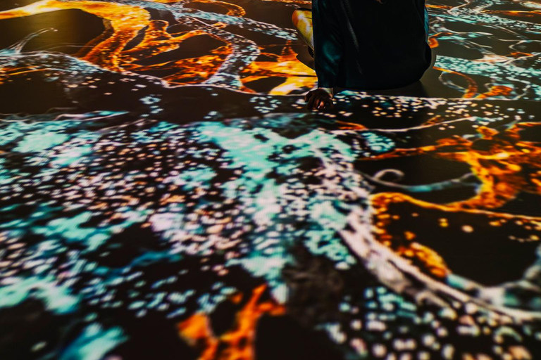 Prague: Signal Space Digital Art Gallery Entry Ticket Signal Space Digital Art Gallery Open Ticket