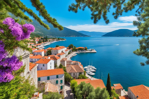 Desde Tivat: Tour privado de Herceg Novi, Perast y Kotor