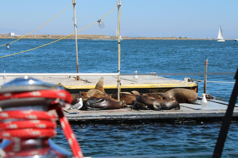 San Diego: Private Morning Sail up to 12 guests