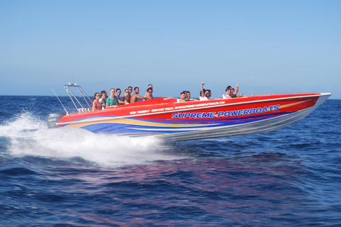 Sliema: Powerboat-tur till Cominos blå lagun med Cominos grottor