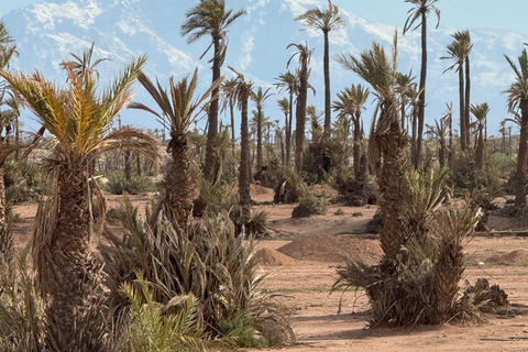 Marrakech Palmeraie: Buggy 1000cc ZCF, tour For 4 Peoples