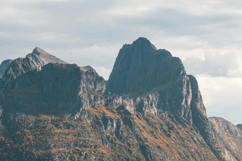 特罗姆瑟：弗洛伊山徒步导览之旅，欣赏壮丽景色Tromsø: Private Guided Hike to Mount Fløya (Snacks &amp; Drinks)