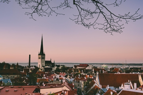 Tallinn: Express-Spaziergang mit einem Einheimischen in 60 Minuten