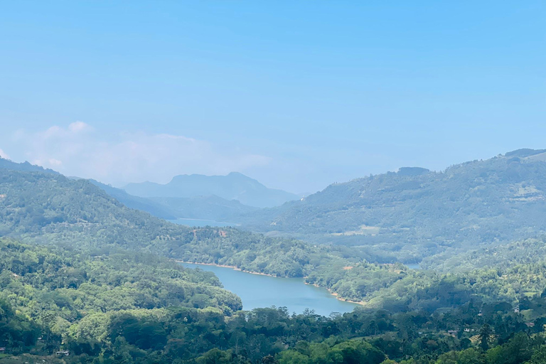 Happy Tour in Sri Lanka