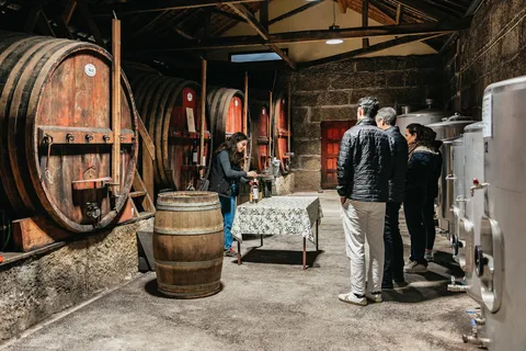 From Porto: Douro Valley Wine Tour with Lunch and Cruise