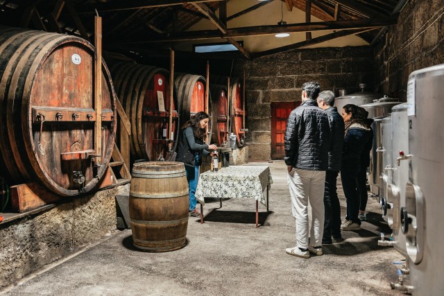Visit From Porto Savor the Wine of the Douro Valley with Lunch in Vila Nova de Gaia