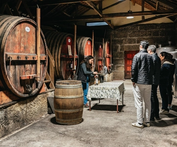 From Porto: Douro Valley Wine Tour with Lunch and Cruise