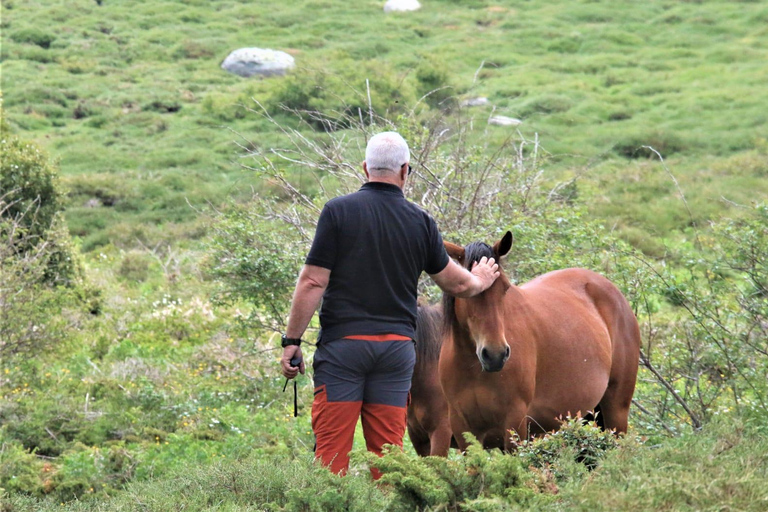 Porto-Vecchio : excursion 4x4 dans la forêt d&#039;Ospedale et aux aiguilles de BavellaPorto Vecchio : Circuit 4x4 dans la forêt d&#039;Ospedale et les aiguilles de Bavella