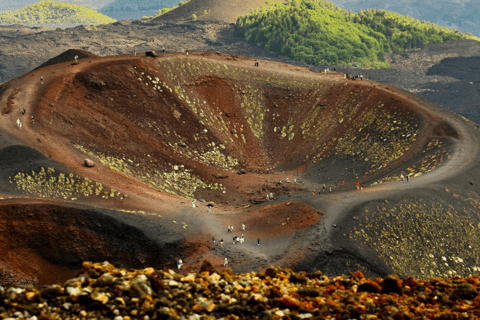 Desde Malta: Excursión de un día al Etna y Siracusa con guíaMT. Etna y Siracusa