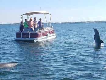 Key Largo: Eco tour in barca