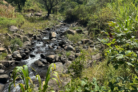 Moshi/Arusha: Chemka Hot Springs Materuni Waterfall Day tour 2 in 1 : Materuni & Chemka tour from Moshi