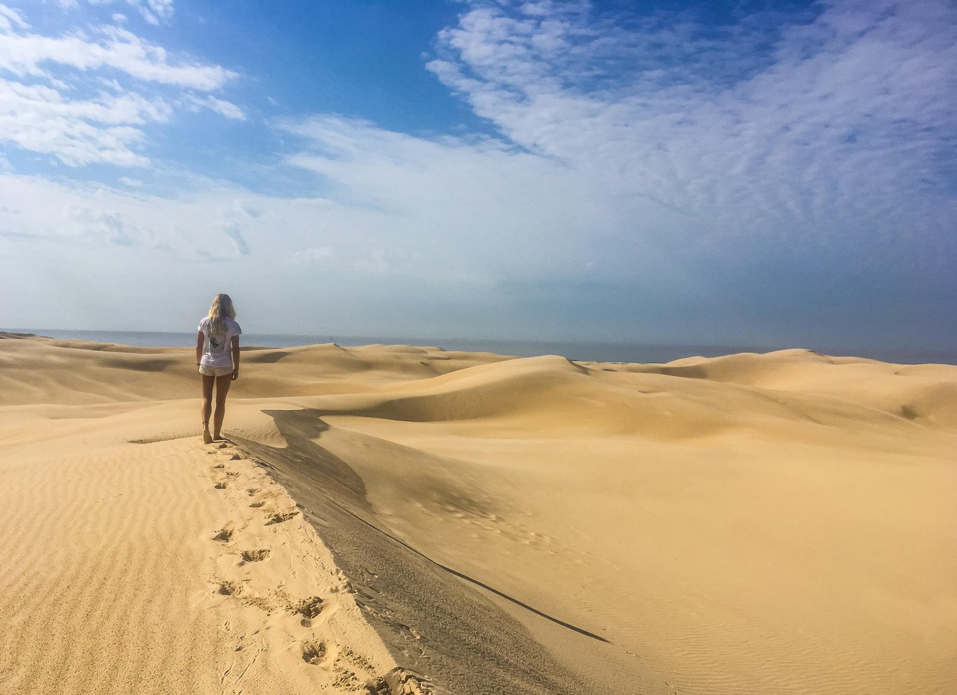 Port Stephens: Sandboarding og sandsurfing med 4WD-transport