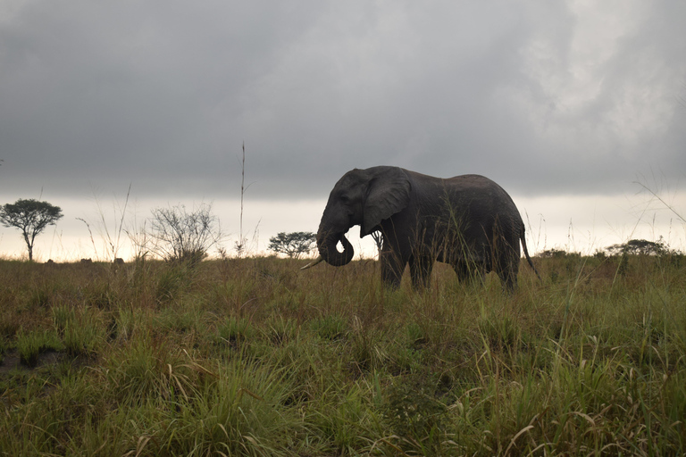 Parc des chutes de Murchison : safari de 3 jours avec le sanctuaire des rhinocéros de Ziwa