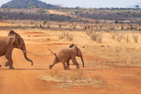 From Zanzibar: 2-Day Selous Safari with Flights & Lodge Stay 2-Day Selous Safari - Without Transfer