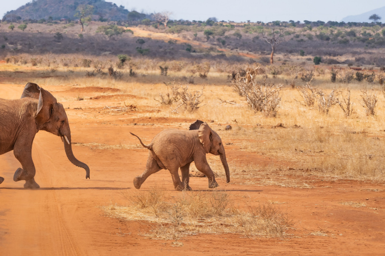 From Zanzibar: 2-Day Selous Safari with Flights & Lodge Stay 2-Day Selous Safari - Without Transfer