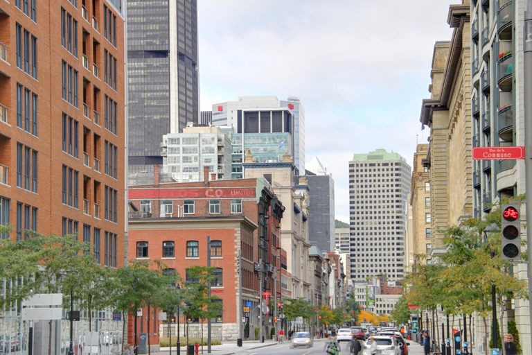 Old Montreal Private Walking Tour with Cruise Tickets 3,5-hour: Old Montreal and Cruise Tour