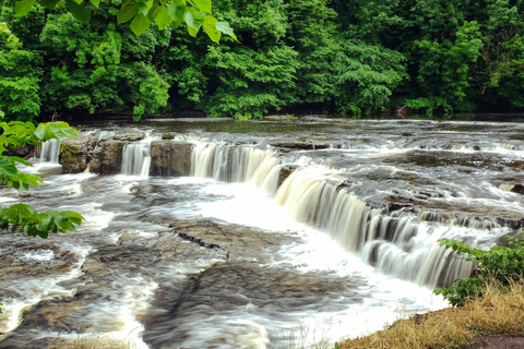 From York: The Yorkshire Dales Small-Group Day Tour