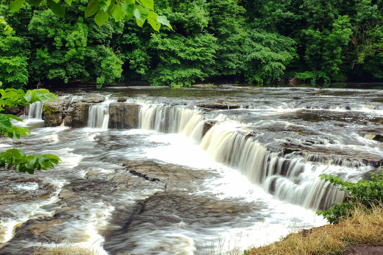 From York: The Yorkshire Dales Small-Group Day Tour