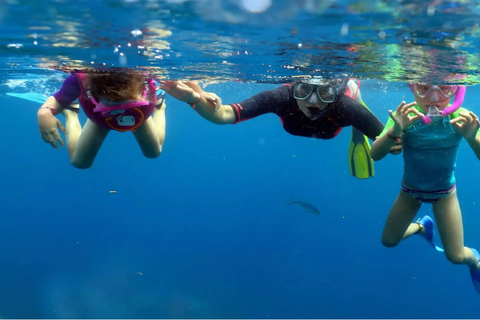 Punta Cana: Catalina Island Snorkeling Tour with Lunch