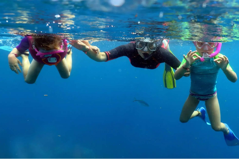 Punta Cana: Catalina Island Snorkeling Tour with Lunch