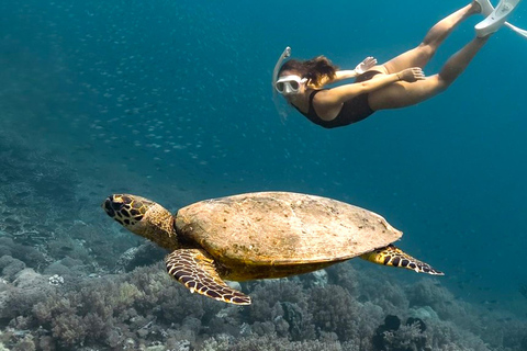 Gili Asahan: descubre la exclusiva isla paradisíaca de LombokGrupos grandes exclusivos