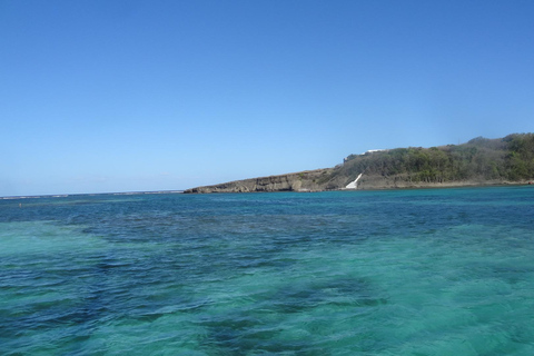 A day at sea to discover the lagoons of the Îlets du François A day trip to the lagoons of François