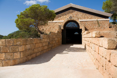 Llucmajor: Bodegas Bordoy Wine Tour with Lunch