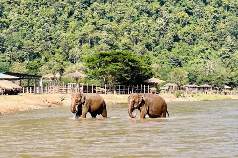 Chiangmai half day tour- Waterfall, Tubing & Elephants Chiangmai half day tour- Waterfall, Tubing & Elephants