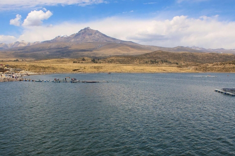 Desde Arequipa: Excursión Ruta Loncco || Día completo ||