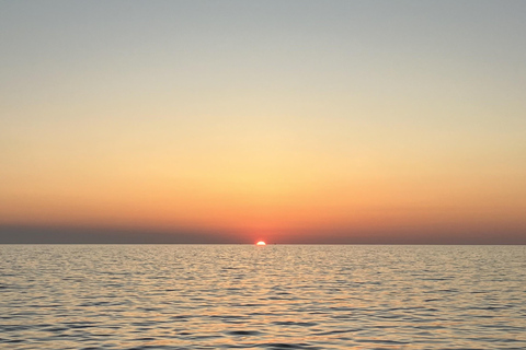 Alcudia: Obserwowanie delfinów o wschodzie słońca z łodzi motorowej