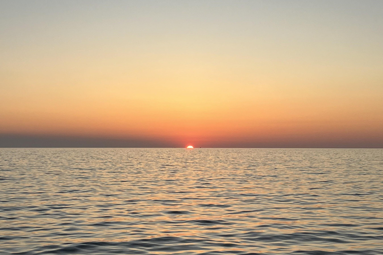 Alcudia: Obserwowanie delfinów o wschodzie słońca z łodzi motorowej