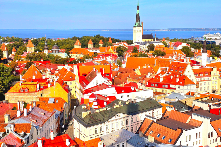 Helsinki: nach Tallinn VIP-Tagestour mit Fähre und Tour