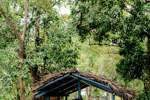 Kandy To Sigiriya & Dambulla Tour With Village Experience