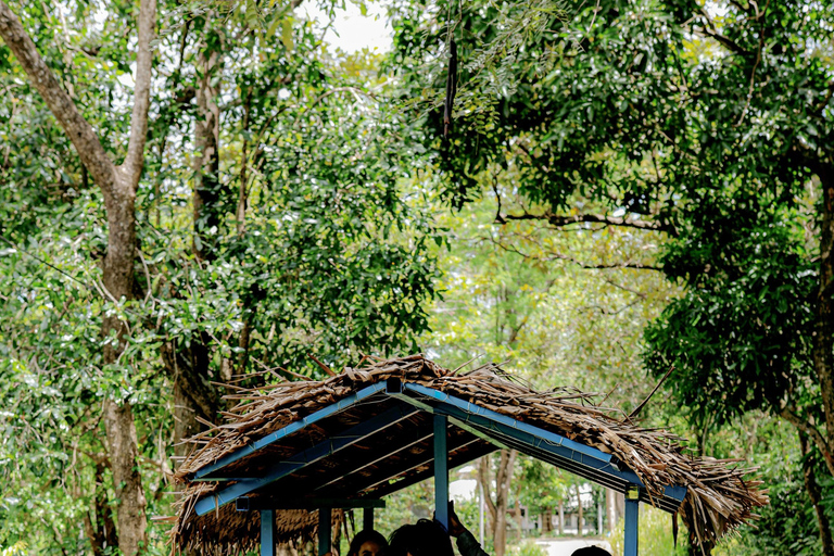 Kandy To Sigiriya & Dambulla Tour With Village Experience