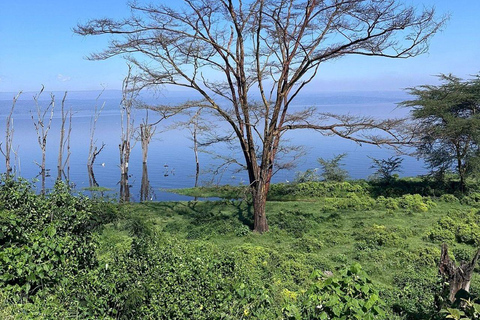 Nairobi: Lake Nakuru National Park and Lake Naivasha Tour