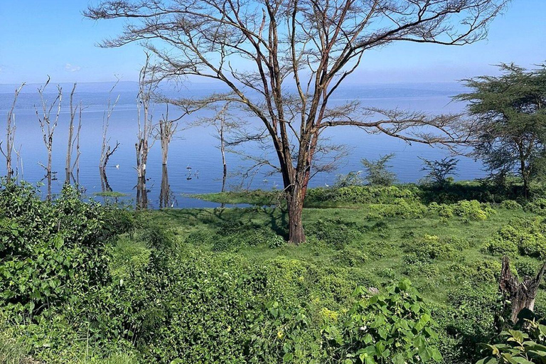 Nairobi: Lake Nakuru National Park and Lake Naivasha Tour