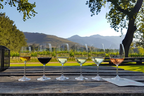 From Cape Town: Stellenbosch Wine Estates Tour with Tastings