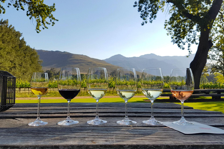 From Cape Town: Stellenbosch Wine Estates Tour with Tastings