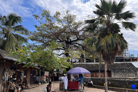 Sansibar: Stone Town Private Tour zu Fuß