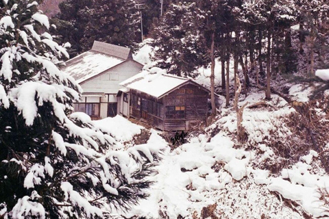 Tokyo: Nagano Day Trip with Snow Monkey Park & Temple.