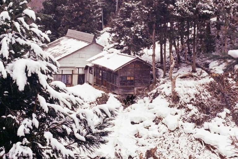 Tokyo: Nagano Day Trip with Snow Monkey Park & Temple.