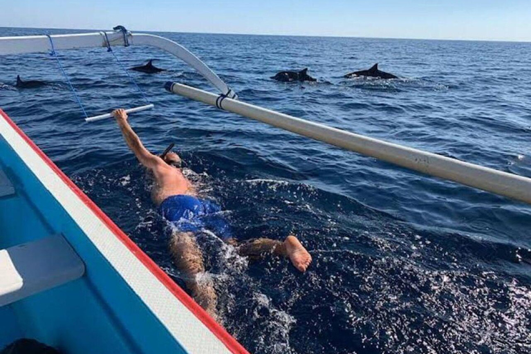 Bali: Amanecer Observando Delfines, Excursión de Natación y SnorkelTour en barco privado con punto de encuentro