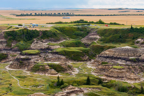 Drumheller: Dinosaurs, Museum, & Hoodoos Day Tour 8:20am Delta Calgary Downtown Pickup
