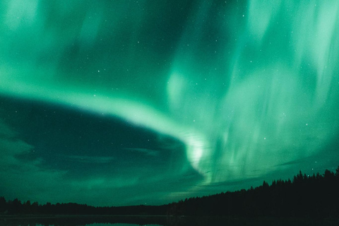 De Rovaniemi: Tour fotográfico da aurora boreal com serviço de busca