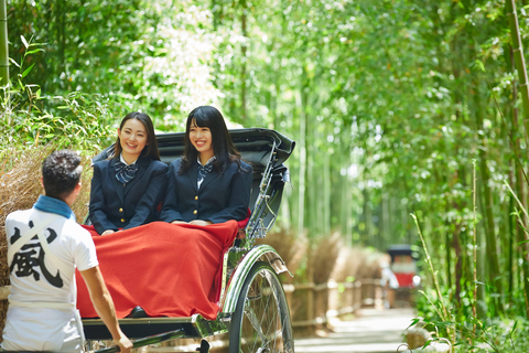 Osaka: Kyoto Werelderfgoed &amp; Nara Schattige Herten 1-daagse bustour